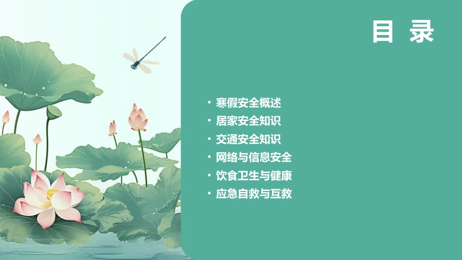2025年寒假安全教育专题_第2页