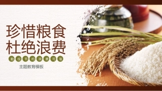 爱粮节粮，人人有责主题教育班会