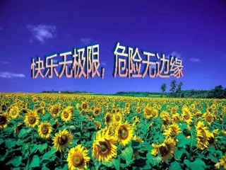 《安全教育主题班会》课件