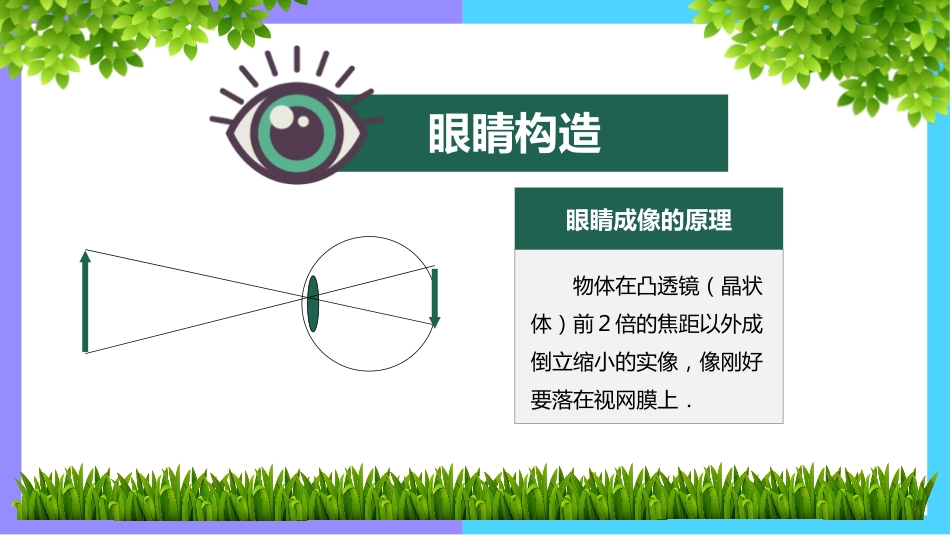 《世界爱眼日》主题班会PPT课件_第5页