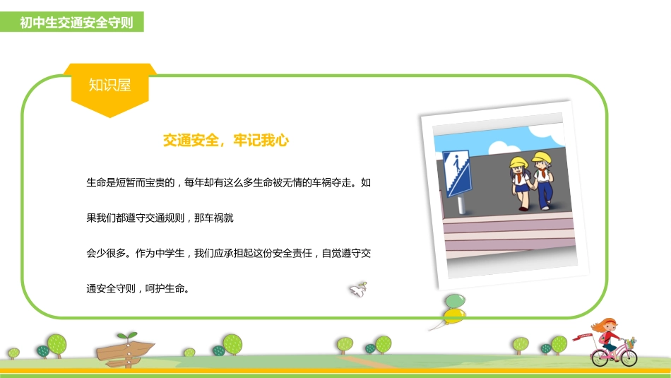 初中生交通安全主题班会课件:学生交通安全_第10页