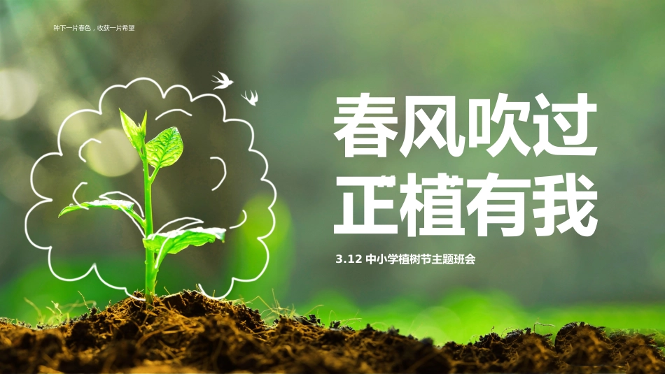 第五周《春风吹过,正‘植’有我》主题班会PPT_第1页