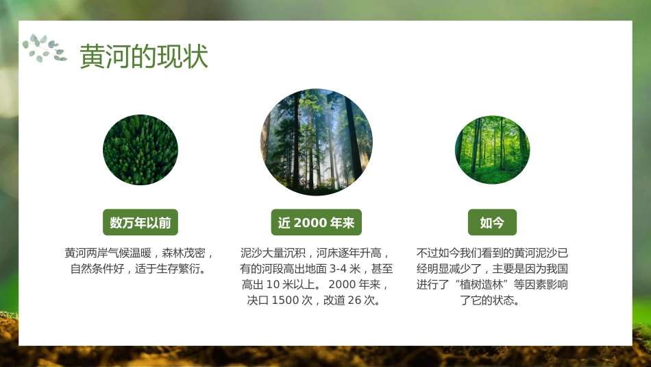 第五周《春风吹过,正‘植’有我》主题班会PPT_第10页