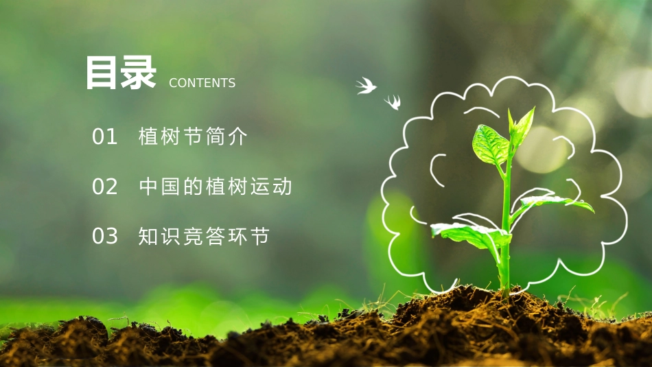 第五周《春风吹过,正‘植’有我》主题班会PPT_第2页