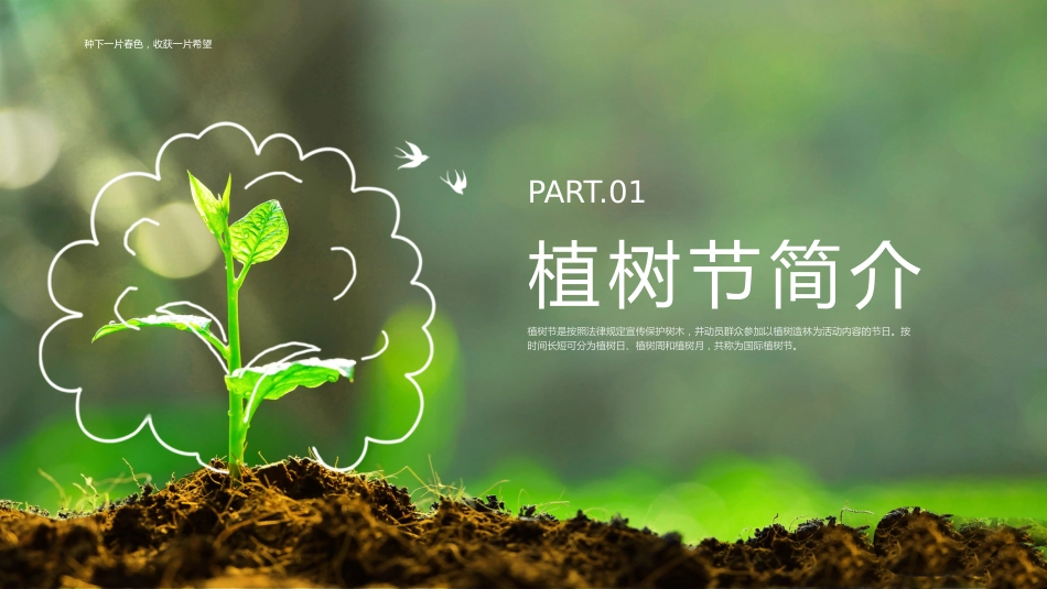 第五周《春风吹过,正‘植’有我》主题班会PPT_第3页