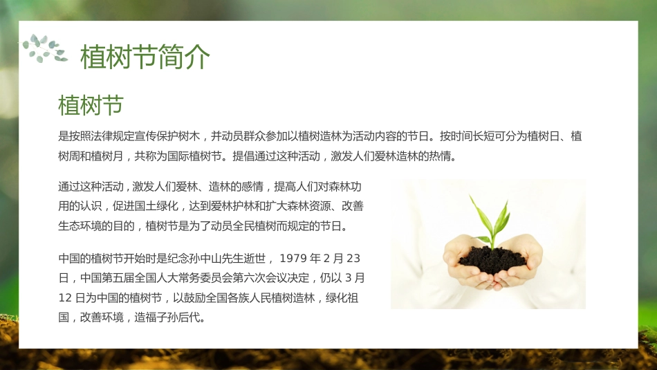 第五周《春风吹过,正‘植’有我》主题班会PPT_第4页