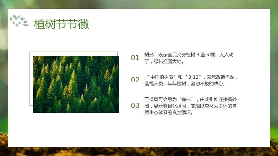 第五周《春风吹过,正‘植’有我》主题班会PPT_第5页