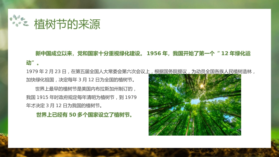 第五周《春风吹过,正‘植’有我》主题班会PPT_第6页