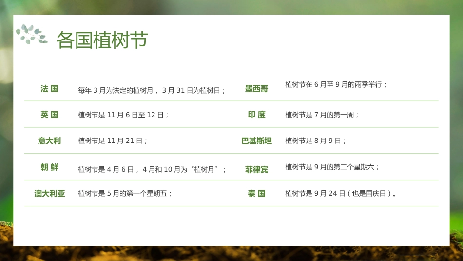 第五周《春风吹过,正‘植’有我》主题班会PPT_第7页