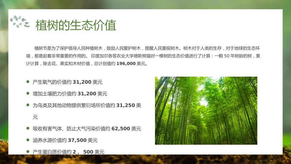 第五周《春风吹过,正‘植’有我》主题班会PPT_第9页