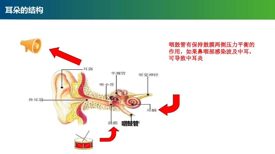 第四周《爱耳日》PPT课件_第9页
