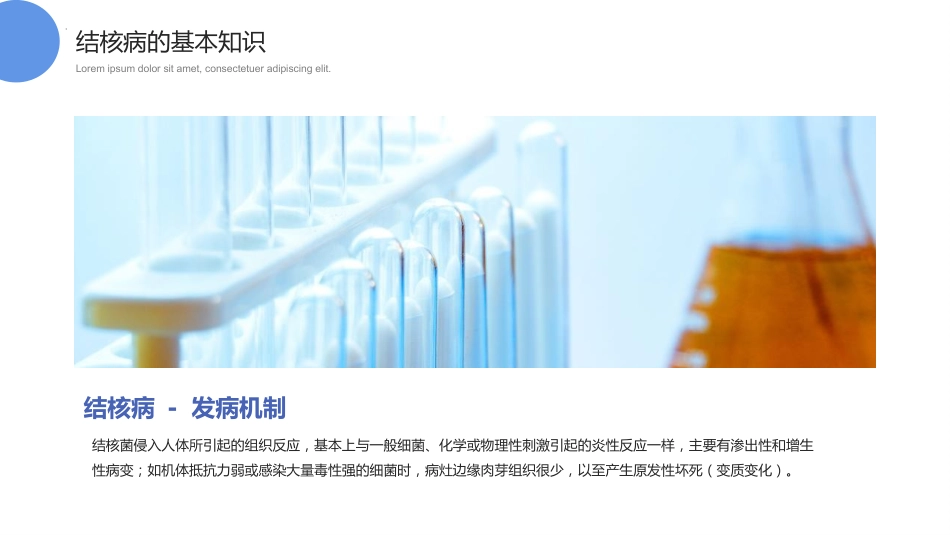 第七周:防治结核病_第5页