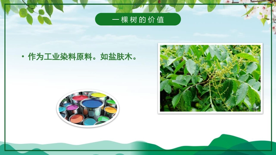 第4周《植树节》主题班会教学课件_第6页