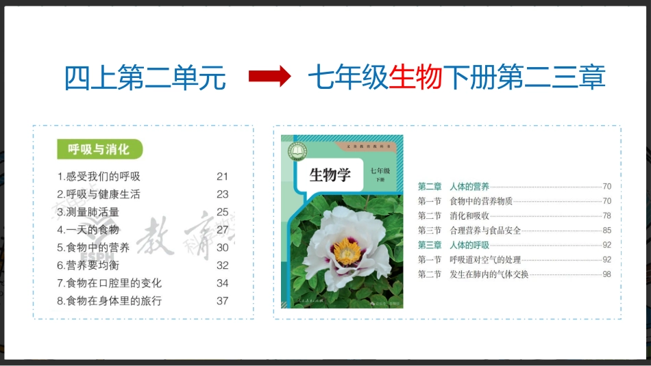 【四年级】【秋季上】【科学】家长会:聊聊科学_第5页