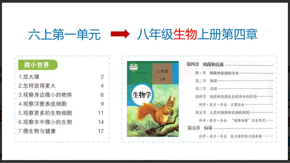 【六年级】【秋季上】【科学】家长会:聊聊科学_第4页