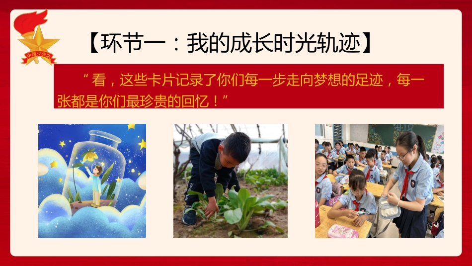 队会课ppt_第8页