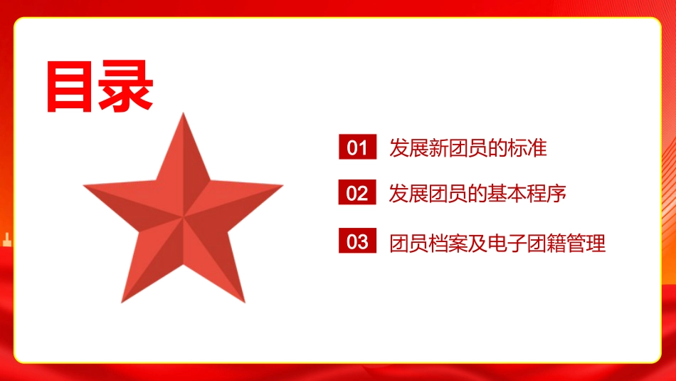 规范团员发展确保推优入团_第4页