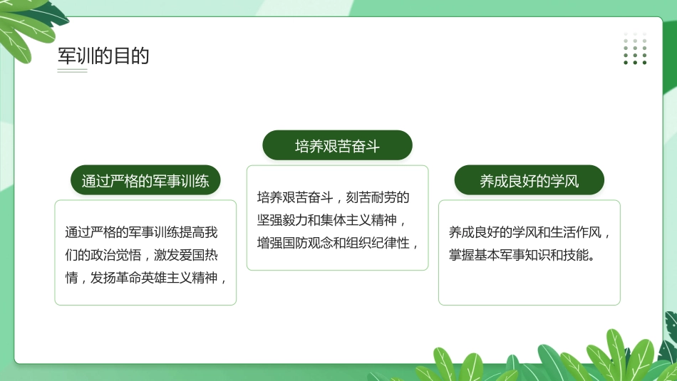 我的军训_第5页