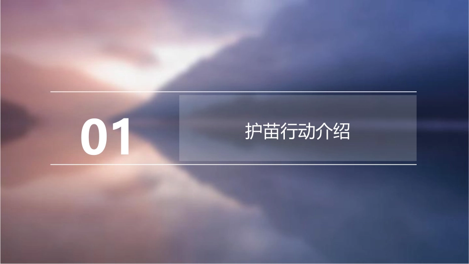 护苗行动第一ppt课件_第3页