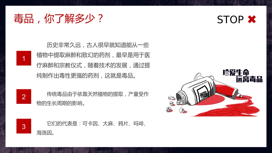 禁毒日主题班会_第5页