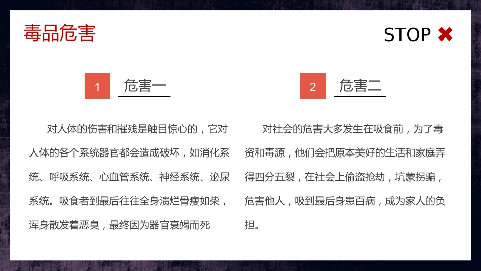 禁毒日主题班会_第8页