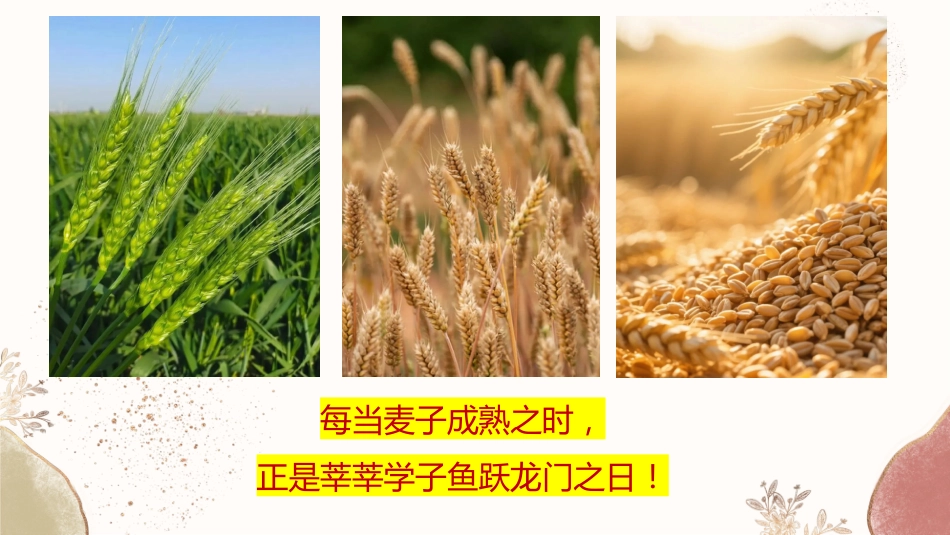 【通用】【哲思班会】学习三要素:扎根、坚持、成长_第6页