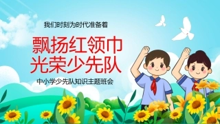 中小学少先队知识主题班会