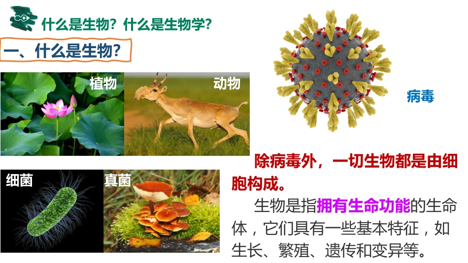 【高一】【生物】2025【秋】开学第一课:之爱上生物课_第4页