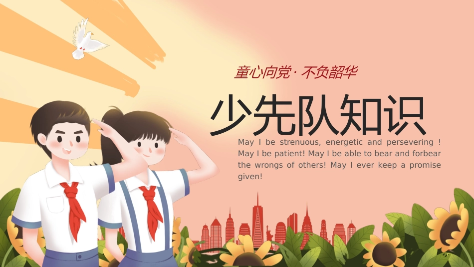 【通用】中小学少先队知识科普主题班会_第6页