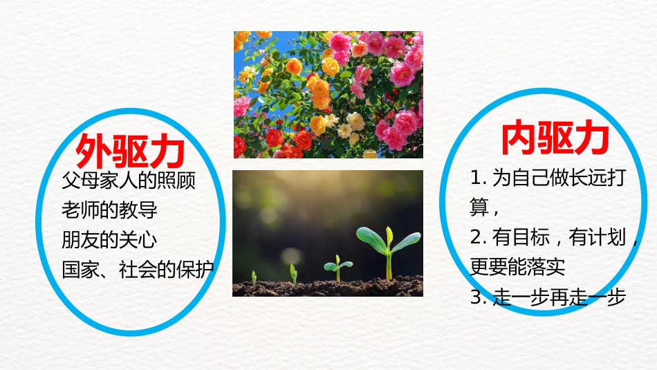 【心理健康】初高中主题班会:爱人如养花,最好的花匠是自己_第10页