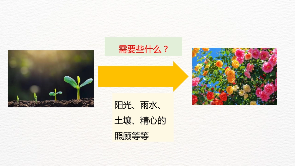 【心理健康】初高中主题班会:爱人如养花,最好的花匠是自己_第5页
