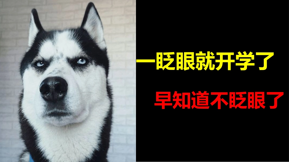 【通用】《开学第一课励志片》(快闪)我们为什么要努力读书_第7页