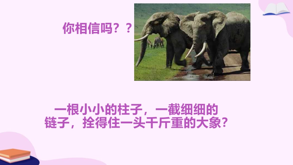 【通用】【习惯养成】主题班会《养成良好习惯,做更好的你》_第3页