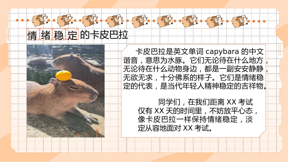 【初高中】【考前解压】主题班会:豚门放松解压秘籍_第2页