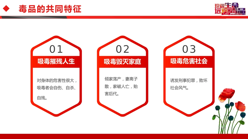 相互热爱,共享生命:禁毒防艾主题班会_第10页