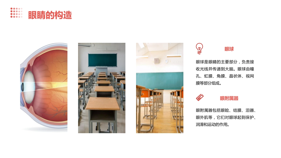 【小学】【健康教育】主题班会:全国爱眼日——小学生保护眼睛_第8页