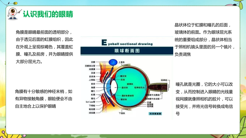 【通用】预防近视主题班会:守住光明点亮未来_第7页