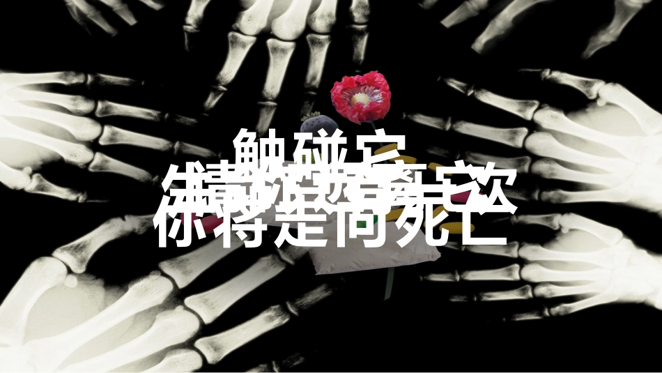 【通用】春季学期安全教育班会:禁毒宣传安全教育PPT2_第2页