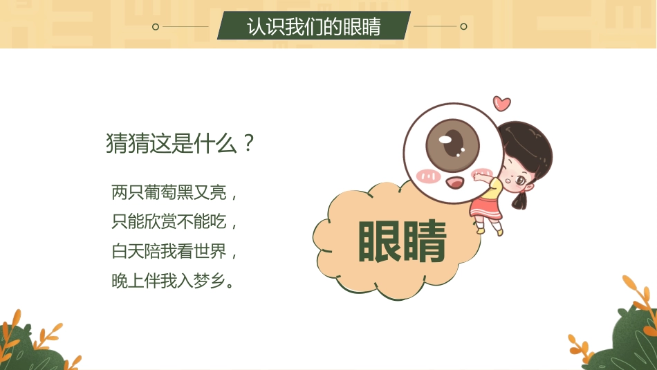 【通用】【健康教育】主题班会:爱护眼睛,保护视力_第4页
