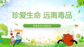【通用】【禁毒宣传】主题班会：禁毒知识宣传