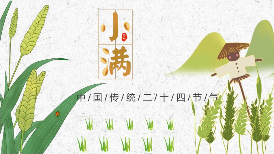 【通用】【传统节日】主题班会:二十四节气小满_第1页