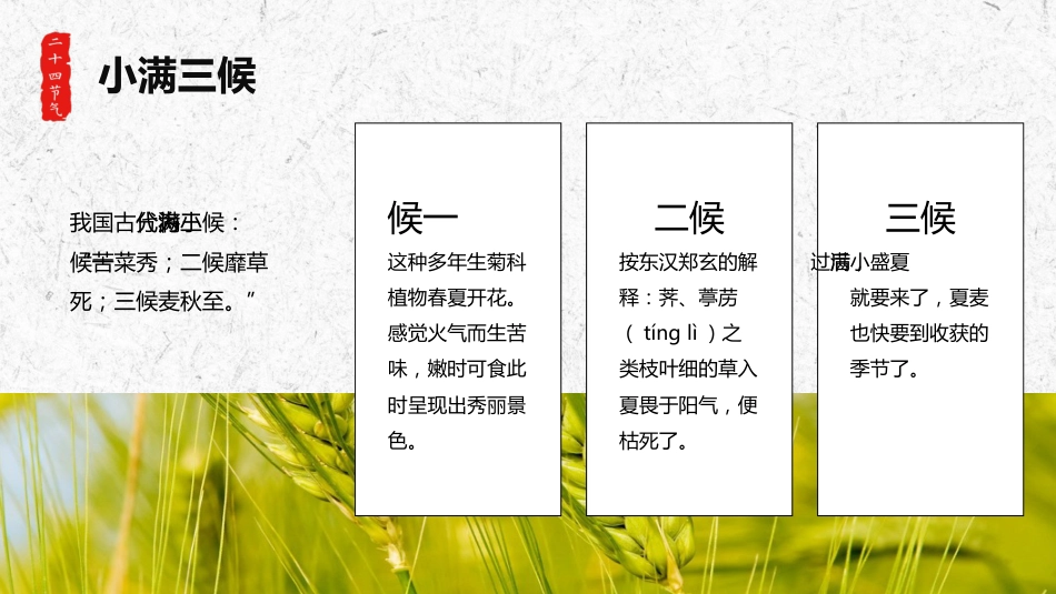 【通用】【传统节日】主题班会:二十四节气小满_第7页