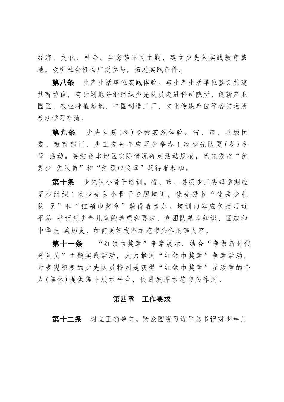 附件5:红领巾实践激励实施办法_第3页
