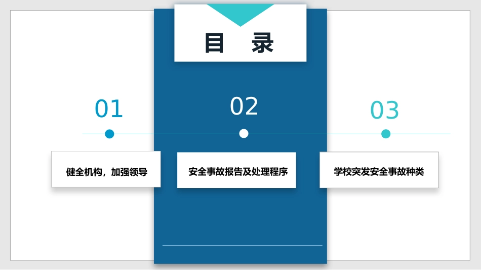 校长汇报:校园应急管理,校园突发事件处理方案_第3页