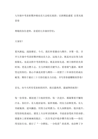九年级中考表彰暨冲刺动员大会校长致辞：以拼搏赴盛夏 以荣光致青春