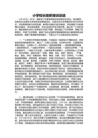 256-小学校长挂职培训总结