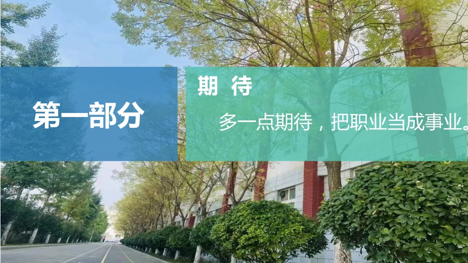 班主任报告_第3页