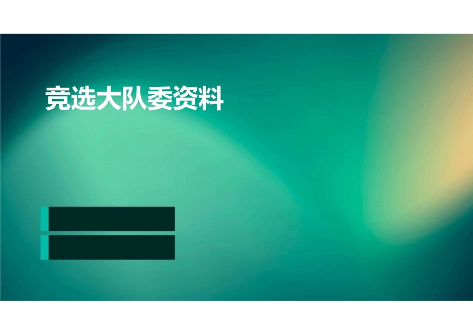 竞选大队委资料_第1页
