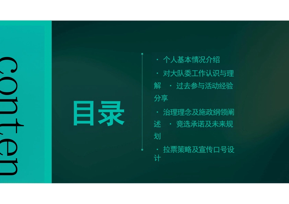 竞选大队委资料_第2页