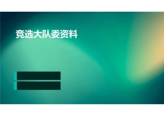 竞选大队委资料